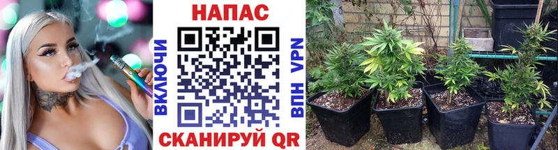 Конопля THC 21%  Новоржев 